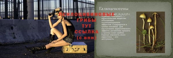 шишки Алзамай