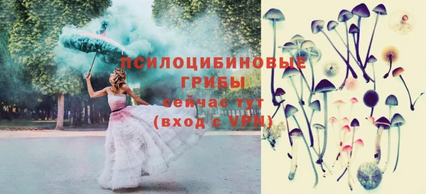 шишки Алзамай